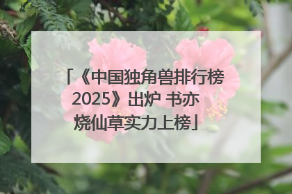 《中国独角兽排行榜2025》出炉 书亦烧仙草实力上榜