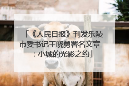《人民日报》刊发乐陵市委书记王晓勇署名文章：小城的光影之约