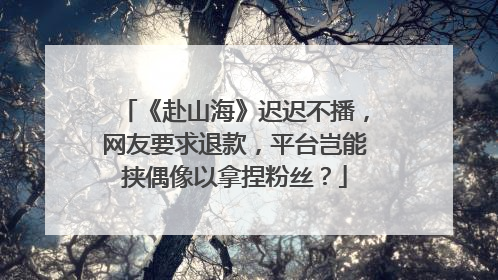 《赴山海》迟迟不播，网友要求退款，平台岂能挟偶像以拿捏粉丝？