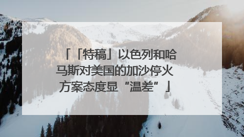 「特稿」以色列和哈马斯对美国的加沙停火方案态度显“温差”