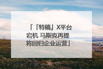「特稿」X平台宕机 马斯克再提将回归企业运营