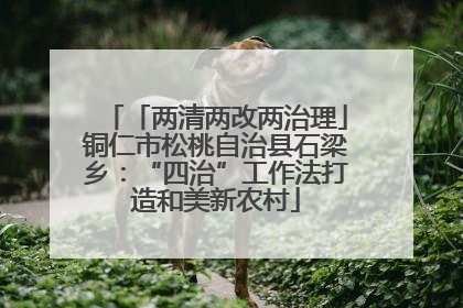 「两清两改两治理」铜仁市松桃自治县石梁乡：“四治”工作法打造和美新农村