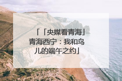 「央媒看青海」青海西宁：我和鸟儿的端午之约