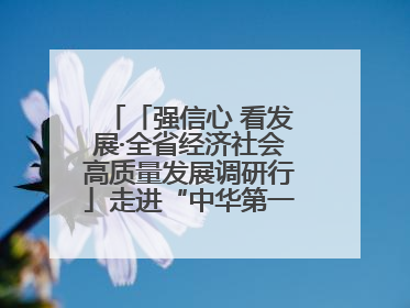 「强信心 看发展·全省经济社会高质量发展调研行」走进“中华第一庙” 寻根伏羲 祭祖龙城