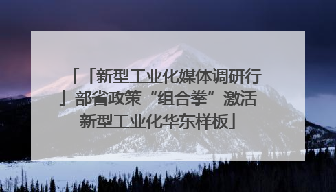 「新型工业化媒体调研行」部省政策“组合拳”激活新型工业化华东样板
