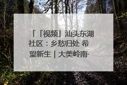 「视频」汕头东湖社区：乡愁归处 希望新生｜大美岭南·百村焕新记