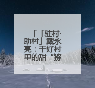 「驻村·助村」戴永亮：干好村里的甜“猕”事业