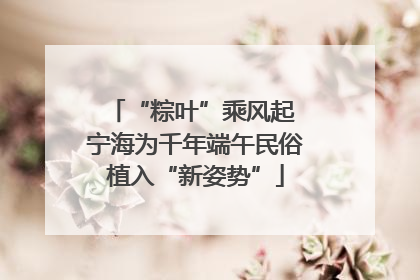 “粽叶”乘风起 宁海为千年端午民俗植入“新姿势”