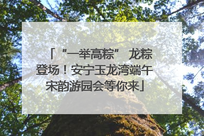 “一举高粽” 龙粽登场！安宁玉龙湾端午宋韵游园会等你来
