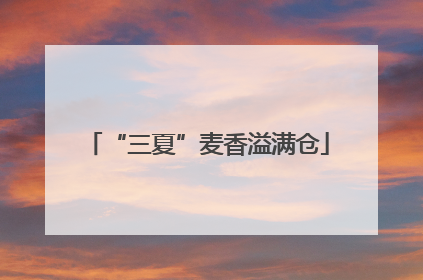 “三夏”麦香溢满仓