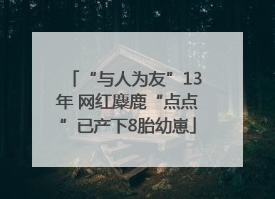 “与人为友”13年 网红麋鹿“点点”已产下8胎幼崽
