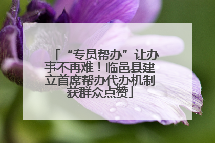“专员帮办”让办事不再难！临邑县建立首席帮办代办机制获群众点赞