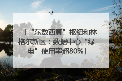 “东数西算”枢纽和林格尔新区：数据中心“绿电”使用率超80%