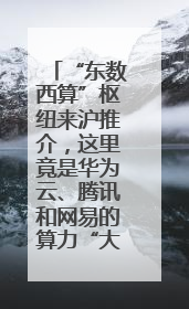 “东数西算”枢纽来沪推介，这里竟是华为云、腾讯和网易的算力“大本营”