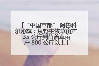 “中国草都” 阿鲁科尔沁旗：从野生牧草亩产 35 公斤到苜蓿草亩产 800 公斤以上