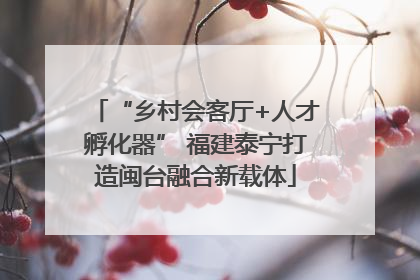 “乡村会客厅+人才孵化器” 福建泰宁打造闽台融合新载体