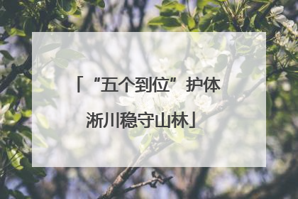 “五个到位”护体 淅川稳守山林