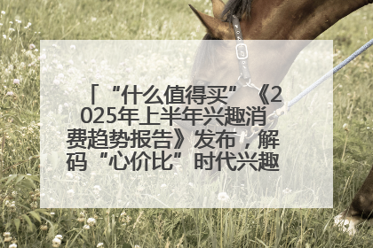 “什么值得买”《2025年上半年兴趣消费趋势报告》发布，解码“心价比”时代兴趣消费新范式