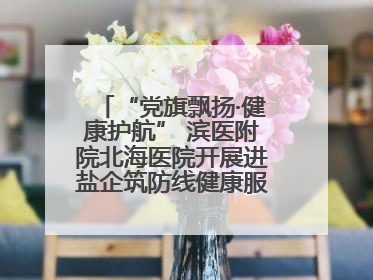 “党旗飘扬·健康护航” 滨医附院北海医院开展进盐企筑防线健康服务行动