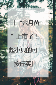 “六月黄”上市了！超小只的可按斤买