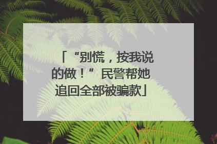 “别慌，按我说的做！”民警帮她追回全部被骗款