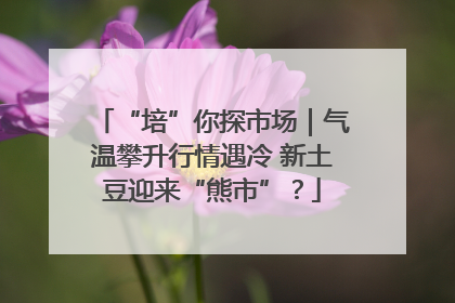 “培”你探市场｜气温攀升行情遇冷 新土豆迎来“熊市”？