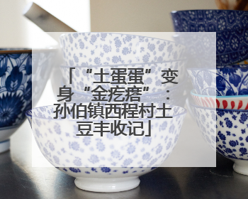 “土蛋蛋”变身“金疙瘩”：孙伯镇西程村土豆丰收记
