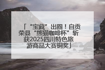 “宝藏”出圈！自贡荣县“熊猫咖啡杯”斩获2025四川特色旅游商品大赛铜奖