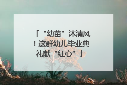 “幼苗”沐清风！这群幼儿毕业典礼献“红心”