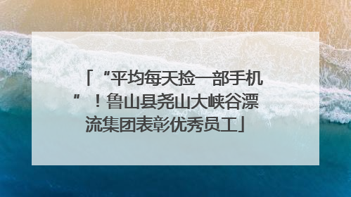 “平均每天捡一部手机”！鲁山县尧山大峡谷漂流集团表彰优秀员工