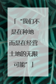 “我们不是在种地 而是在经营土地的无限可能”
