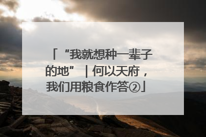 “我就想种一辈子的地”｜何以天府，我们用粮食作答②