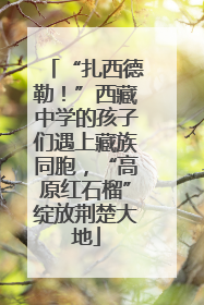 “扎西德勒！”西藏中学的孩子们遇上藏族同胞，“高原红石榴”绽放荆楚大地