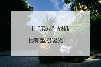 “枭龙”战机最新型号曝光
