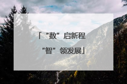 “数”启新程 “智”领发展
