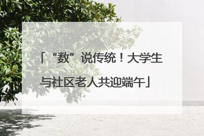 “数”说传统！大学生与社区老人共迎端午