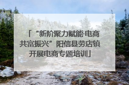 “新阶聚力赋能·电商共富振兴”阳信县劳店镇开展电商专题培训