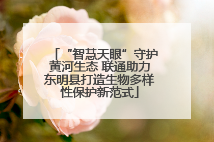 “智慧天眼”守护黄河生态 联通助力东明县打造生物多样性保护新范式
