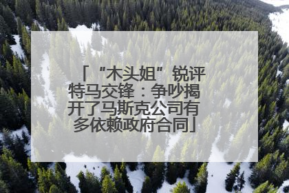 “木头姐”锐评特马交锋：争吵揭开了马斯克公司有多依赖政府合同