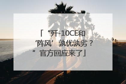 “歼-10CE和‘阵风’孰优孰劣？”官方回应来了