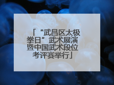 “武昌区太极拳日”武术展演暨中国武术段位考评赛举行
