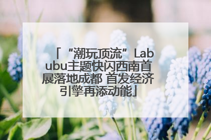 “潮玩顶流”Labubu主题快闪西南首展落地成都 首发经济引擎再添动能