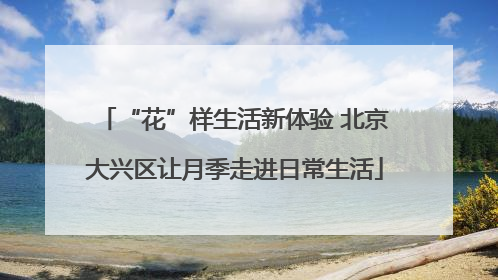 “花”样生活新体验 北京大兴区让月季走进日常生活
