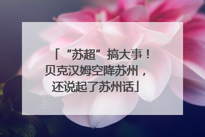“苏超”搞大事！贝克汉姆空降苏州，还说起了苏州话
