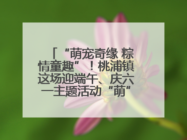 “萌宠奇缘 粽情童趣”！桃浦镇这场迎端午、庆六一主题活动“萌”翻全场～