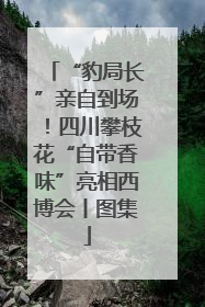 “豹局长”亲自到场！四川攀枝花“自带香味”亮相西博会丨图集