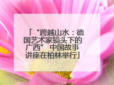 “跨越山水：德国艺术家镜头下的广西” 中国故事讲座在柏林举行