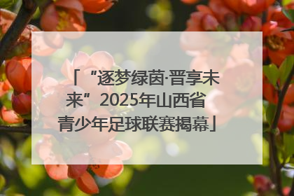 “逐梦绿茵·晋享未来”2025年山西省青少年足球联赛揭幕