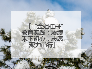“金姐桂哥”教育实践：赓续禾下初心，志愿聚力前行