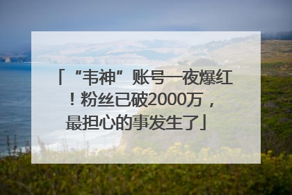 “韦神”账号一夜爆红！粉丝已破2000万，最担心的事发生了